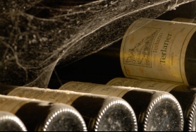 Cantina Terlan - jedno z najlepších vinárskych družstiev sveta